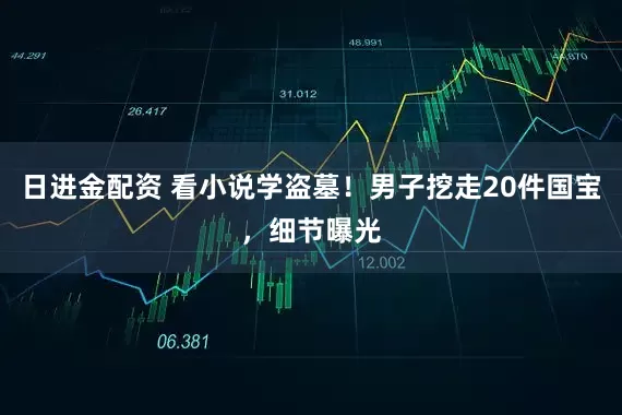 日进金配资 看小说学盗墓!男子挖走20件国宝,细节曝光